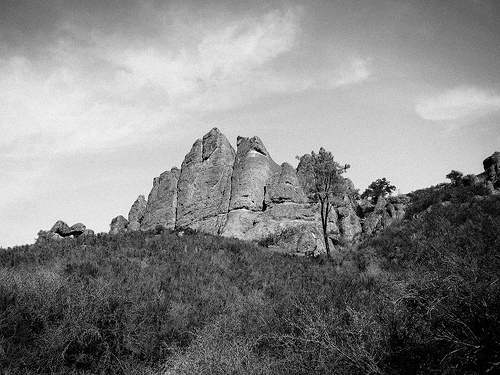 Pinnacles016BW