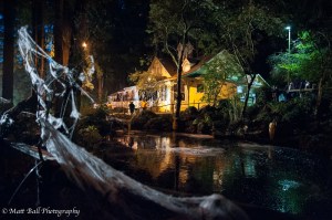 Matt Ball Photography - Scaregrove - Image 3