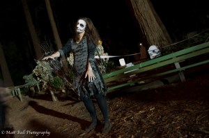 Matt Ball Photography - Scaregrove - Image 7