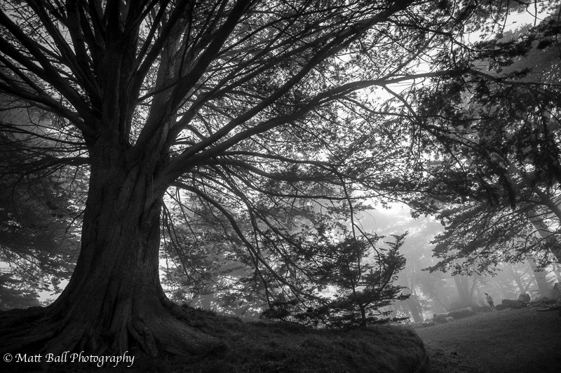 Matt Ball Photo - Featured Artist