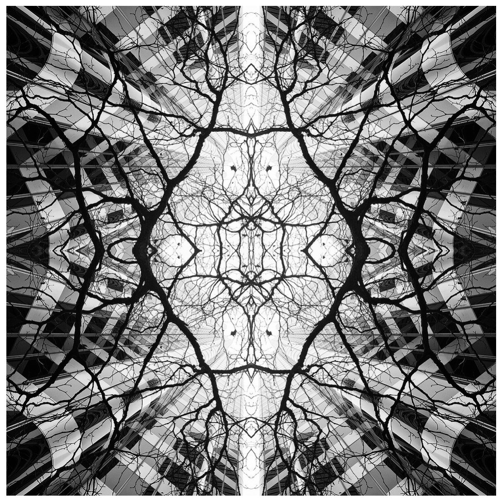 Matt Ball Photo - Into Another One